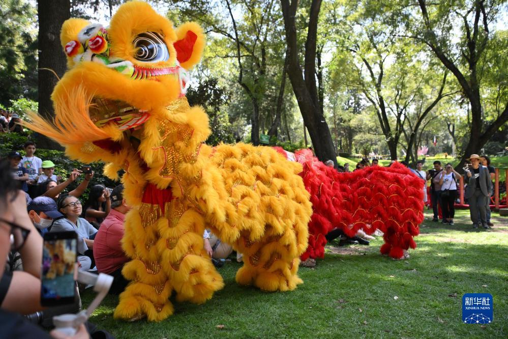 双色球基本走势图